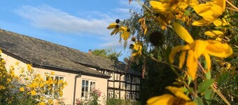 Yew Tree Cottage B&B