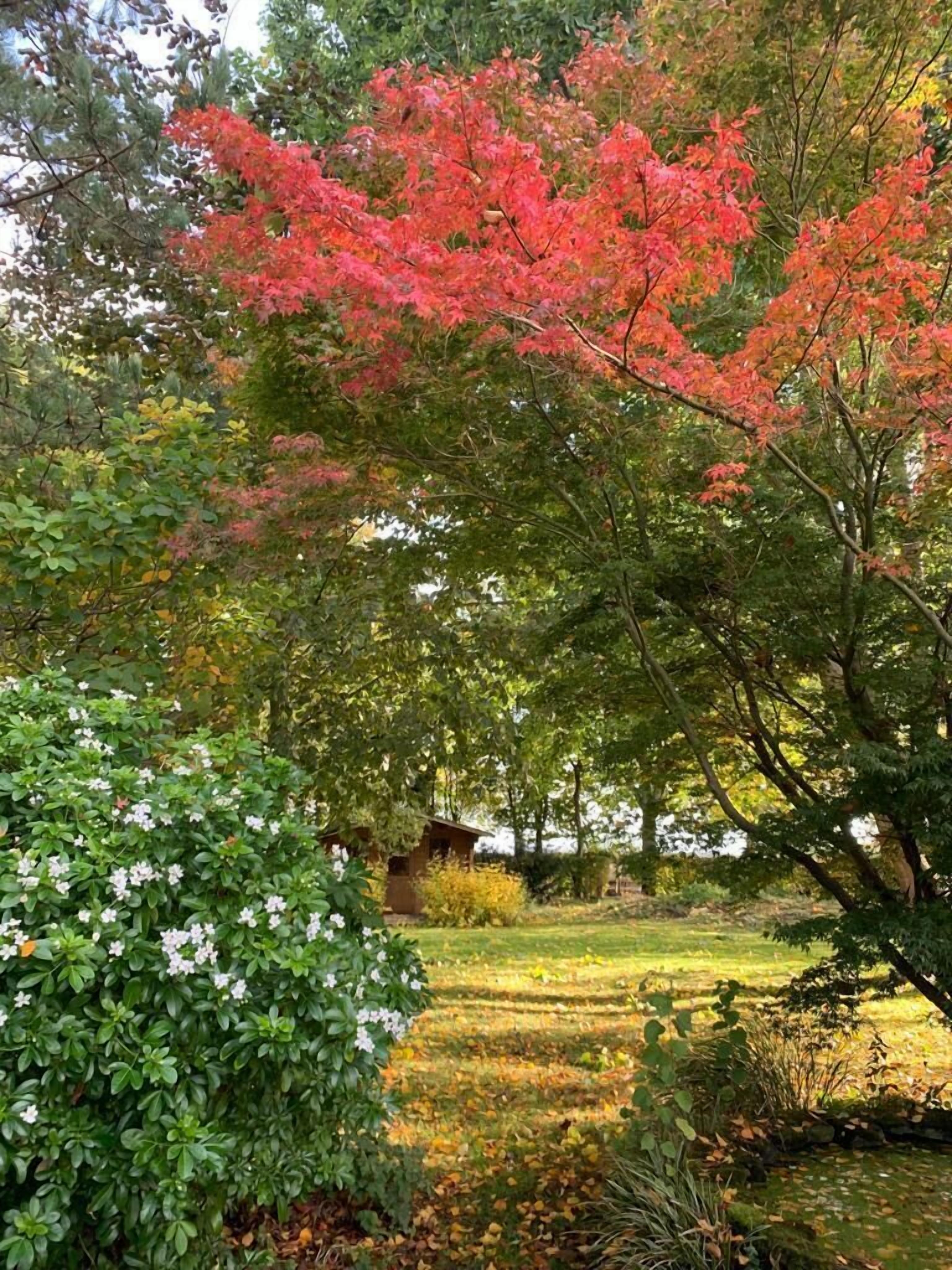 庭園