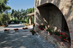 Property grounds - Azienda Agricola e Agriturismo Vallorsi (Terricciola)