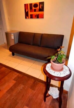 Garden Apartment | 客厅 | 36-英寸纯平电视 （配备卫星频道）、电视