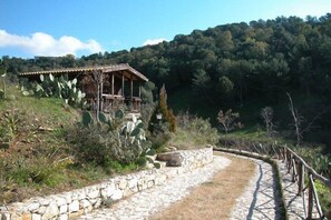 Escrivaninha, quartos à prova de som, berços grátis, Wi-Fi de cortesia