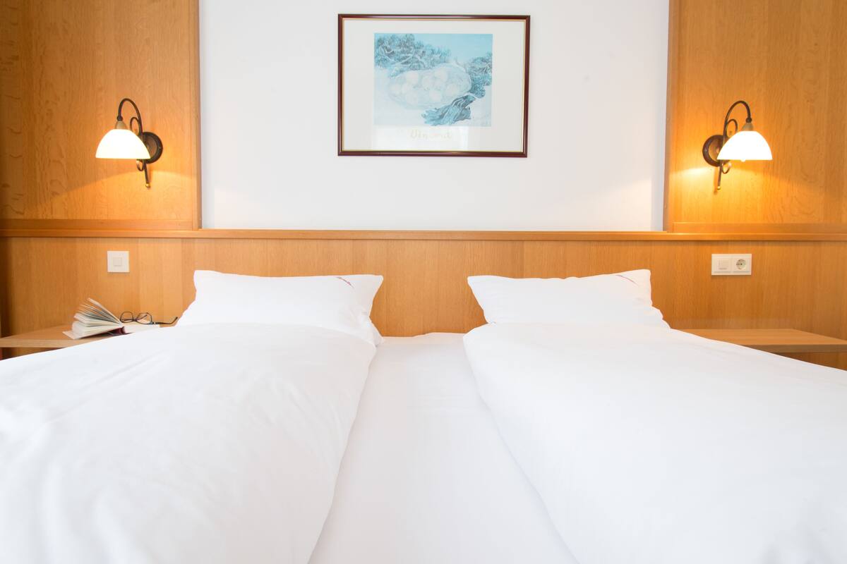 Kamar Double | Seprai antialergi, brankas, meja kerja, dan tempat tidur lipat/tambahan