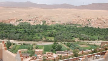 Vista de un paisaje desértico con un pueblo y campos verdes.