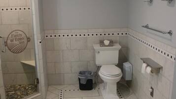 Une salle de bain avec douche, toilettes et porte-serviettes.