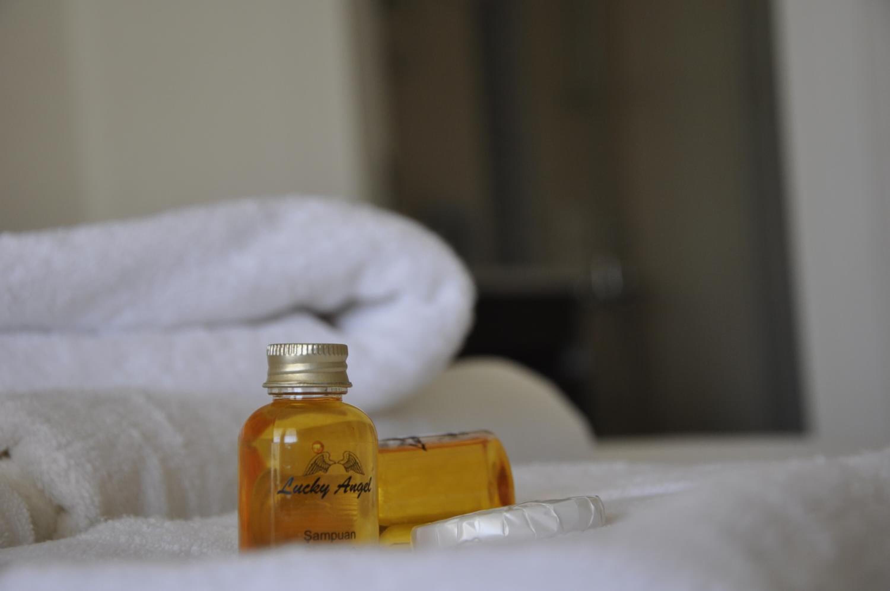 shower, free toiletries, hair dryer, slippers