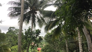 Vistas al jardín