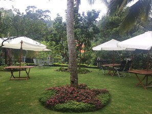 Garden - Villa Nuova Kandy (Kandy)