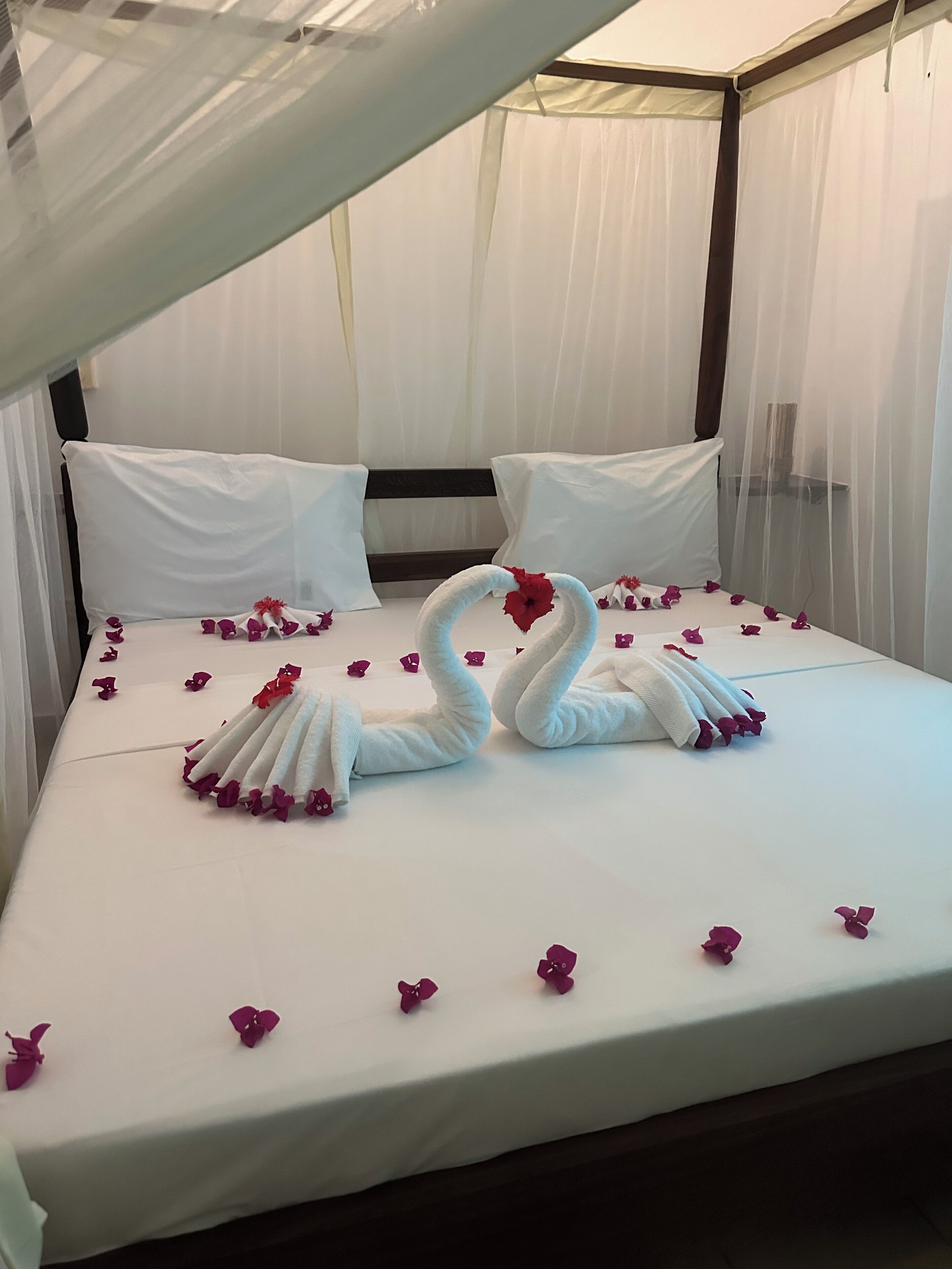 A bed with a canopy, white bedding, and swan-shaped towels.