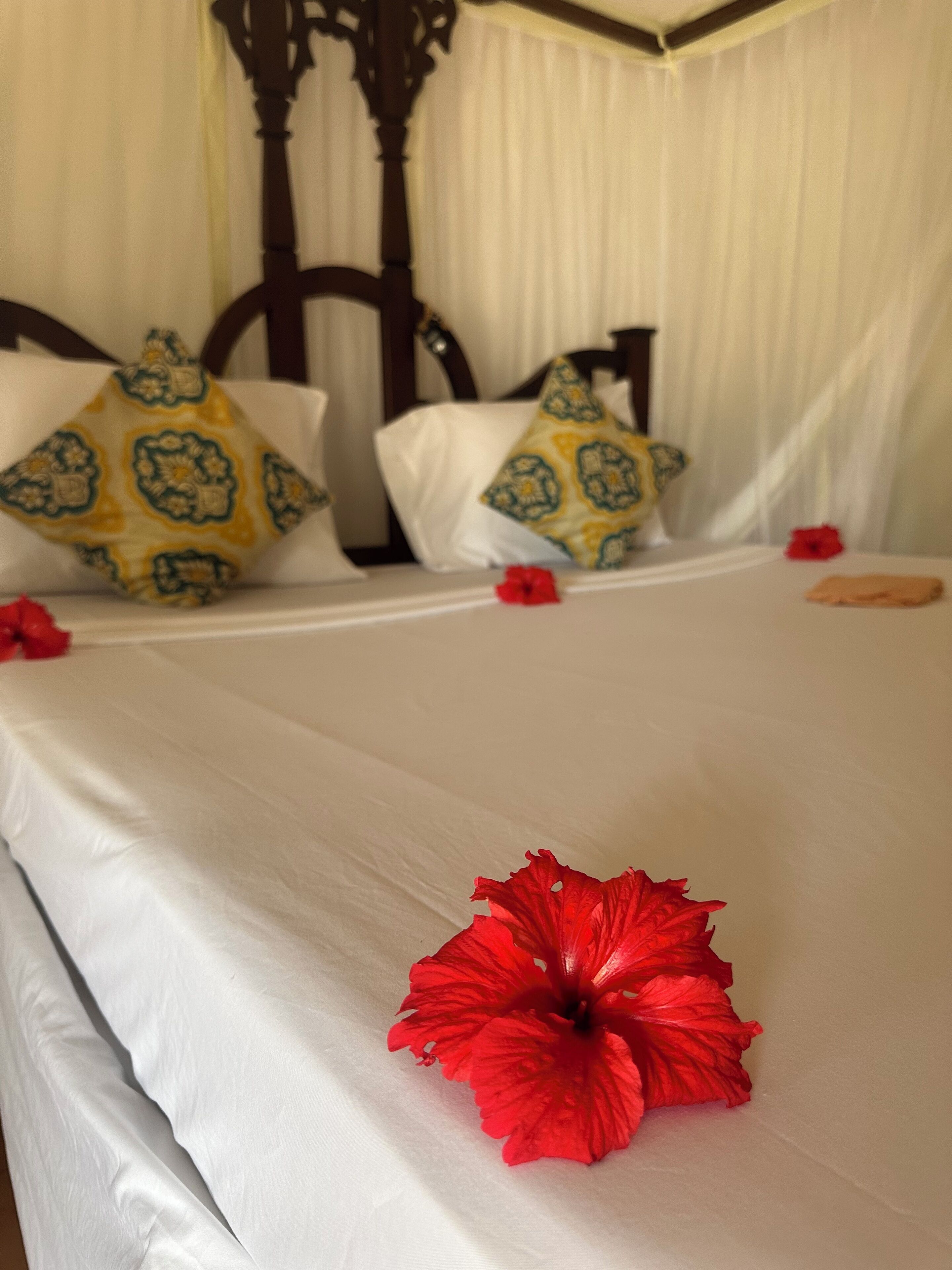 Deluxe Bungalow, 2 Bedrooms, Private Bathroom, Pool View | Frigobar, escrivaninha, quartos à prova de som, Wi-Fi de cortesia