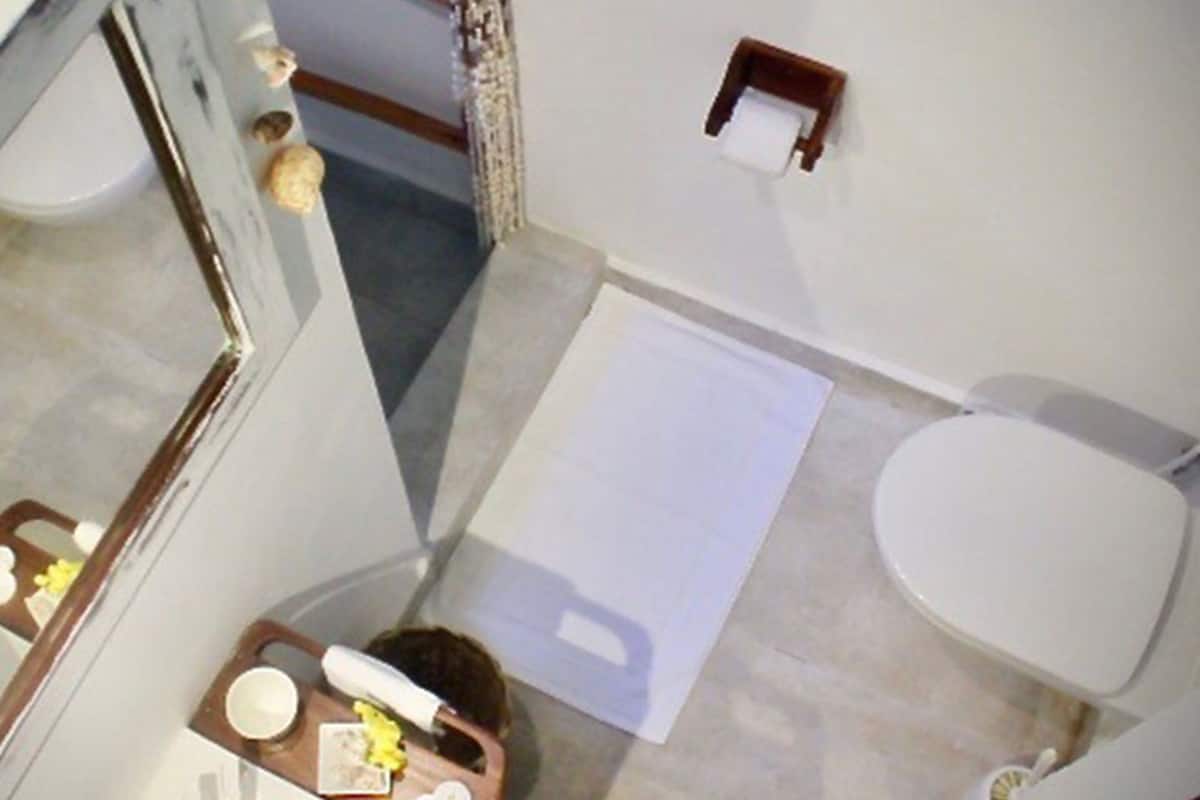 A bathroom with a toilet, a sink, a mirror, and a shower.