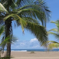On the beach