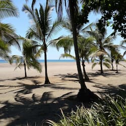 On the beach