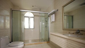 Een moderne badkamer met een glazen douchecabine, een toilet en een wastafel met spiegel.