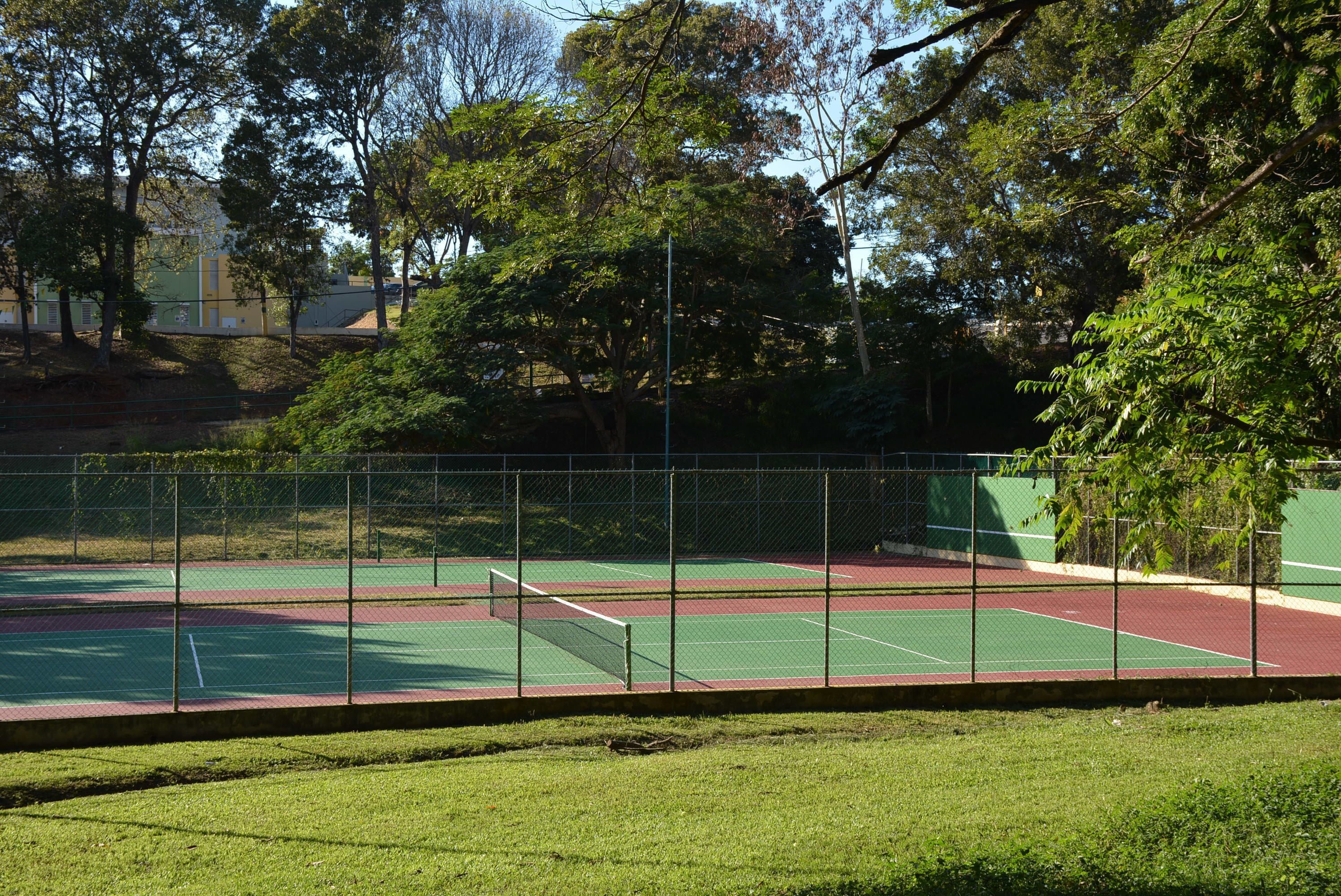 Un court de tennis avec un filet, entouré d’arbres et d’une clôture.