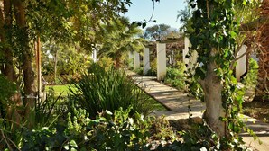 Un camí de jardí que condueix a un edifici blanc amb columnes, envoltat de vegetació abundant i arbres.