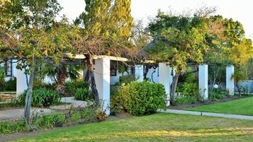 A garden with a pergola, various plants, and a pathway.