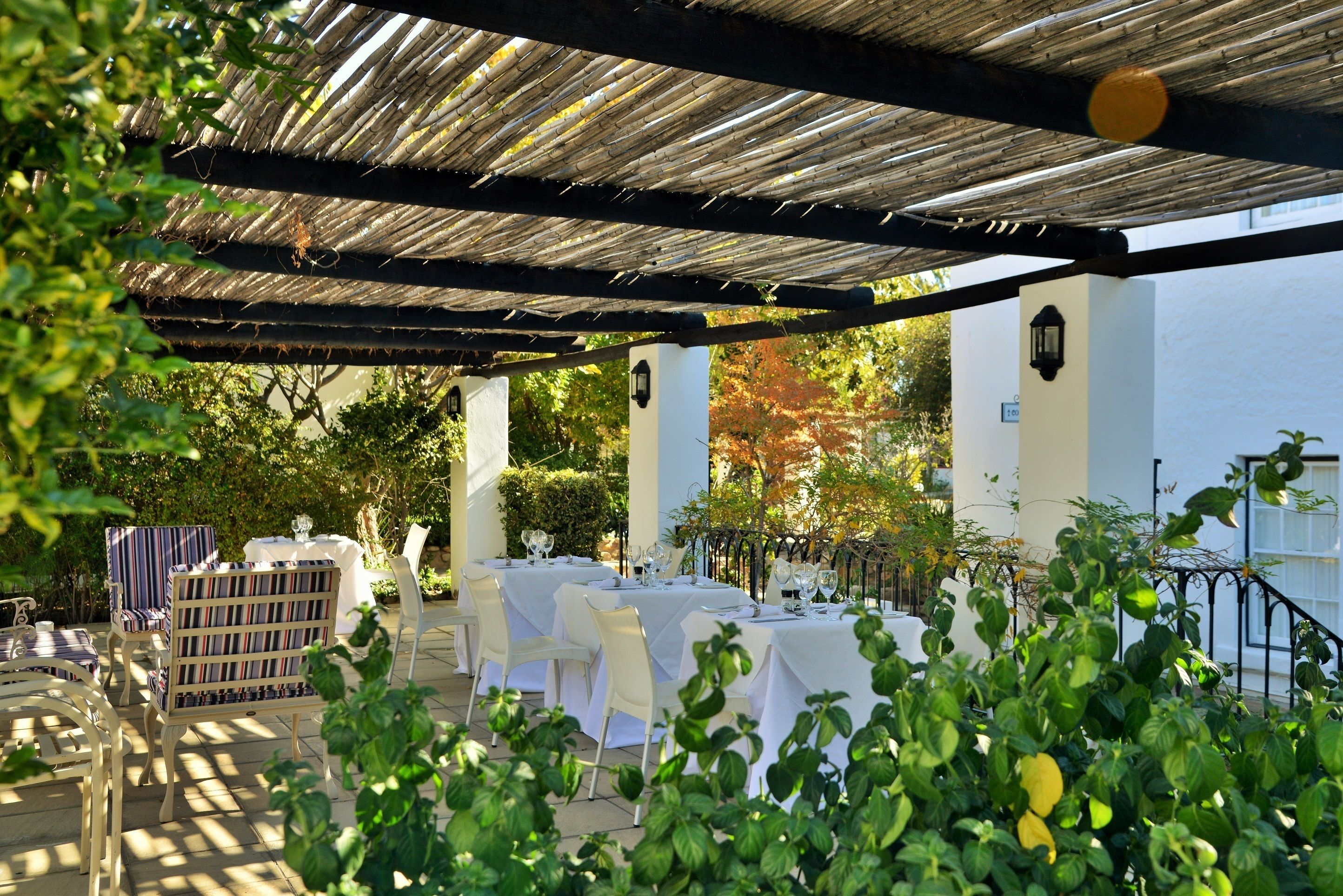 An outdoor dining area with tables and chairs under a pergola, surrounded by greenery.