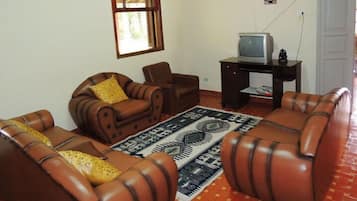 Standaard driepersoonskamer | Woonkamer | Een televisie