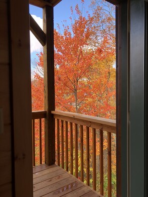 Property grounds - Secluded mountain cabin 5 acres , all rooms with view,  hear soothing waterfall (Maggie Valley)