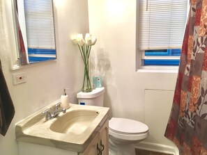 Combined shower/bathtub, hair dryer, towels, soap