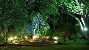 Un área de comedor al aire libre con mesas y sillas bajo un árbol grande, rodeada de abundante vegetación.