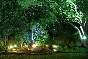 Un área de comedor al aire libre con mesas y sillas bajo un árbol grande, rodeada de abundante vegetación.