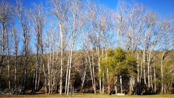 Una piscina al aire libre, sillones reclinables de piscina