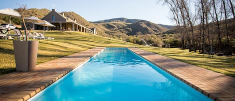 Outdoor pool, sun loungers