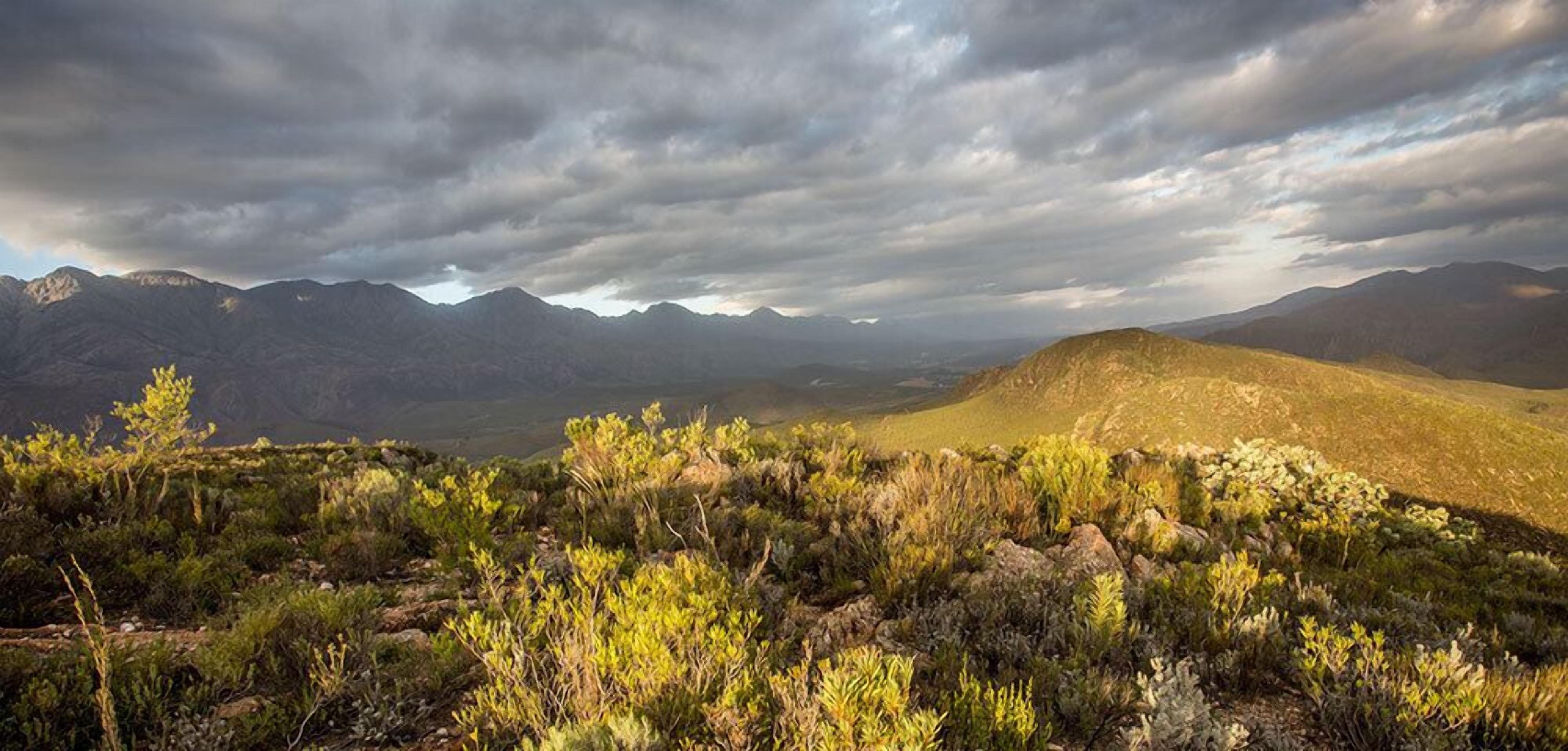 A mountainous landscape with a foreground of green shrubs and a range of mountains in the background under a cloudy sky.