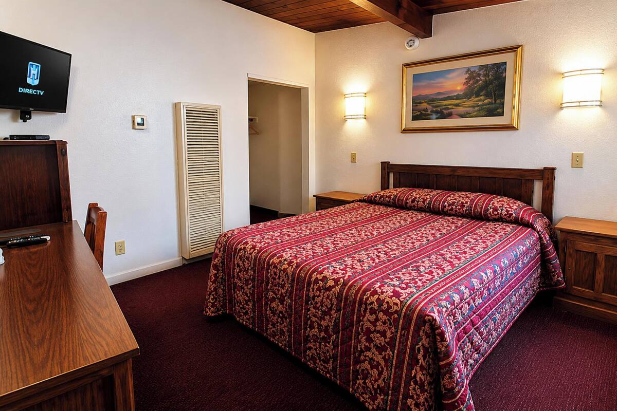 Een slaapkamer met een bed, een televisie, een bureau en een schilderij aan de muur.