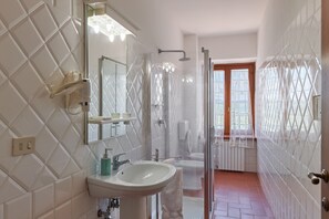 Shower, hair dryer, bidet, towels
