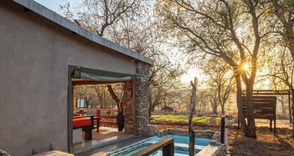 Foxy Crocodile Bush Lodge & Kruger Safaris