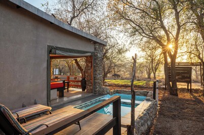 Foxy Crocodile Bush Lodge & Kruger Safaris
