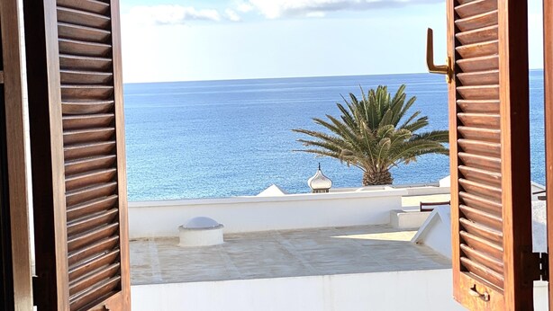 An open wooden shutter revealing a view of the sea and a palm tree.