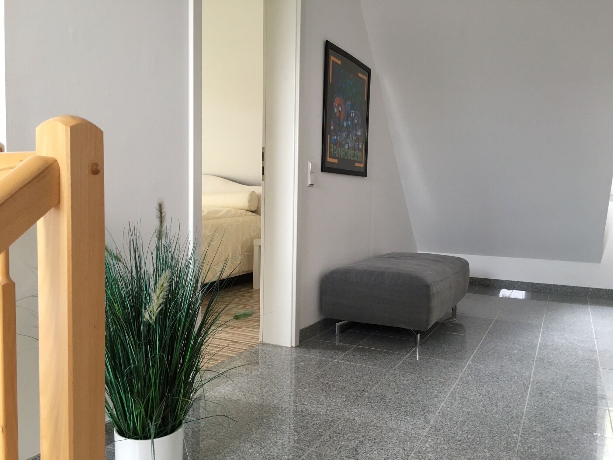 Een modern interieur met een grijze poef, een kamerplant en een lijst met een foto aan de muur.