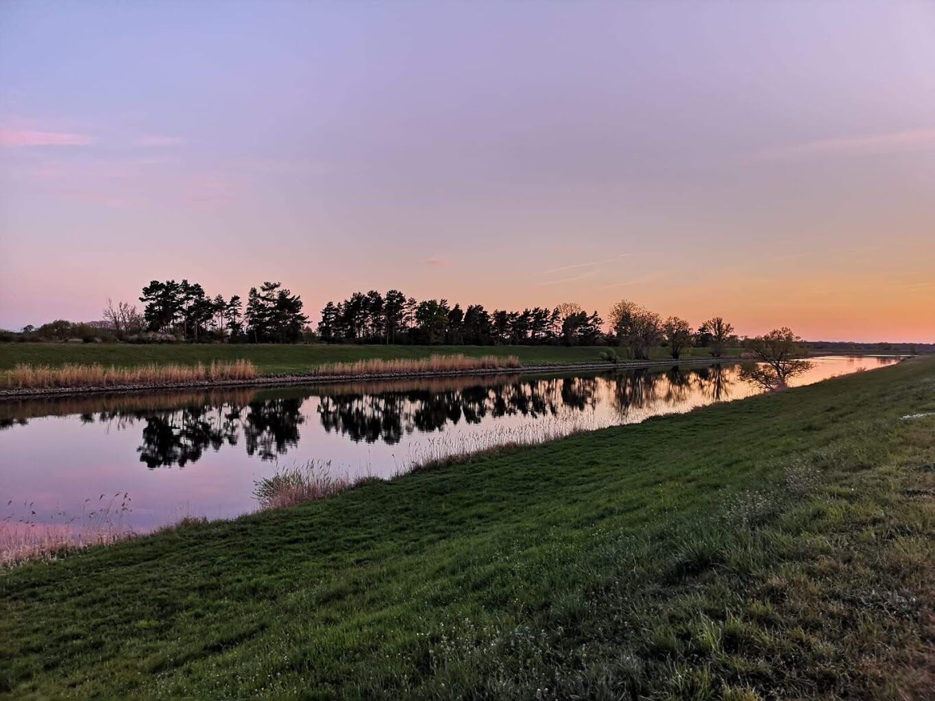 Ein ruhiger See mit Uferwiese und Bäumen im Hintergrund.