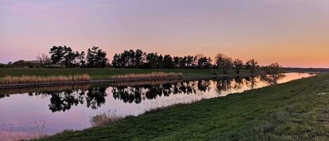 Ein ruhiger See mit Uferwiese und Bäumen im Hintergrund.
