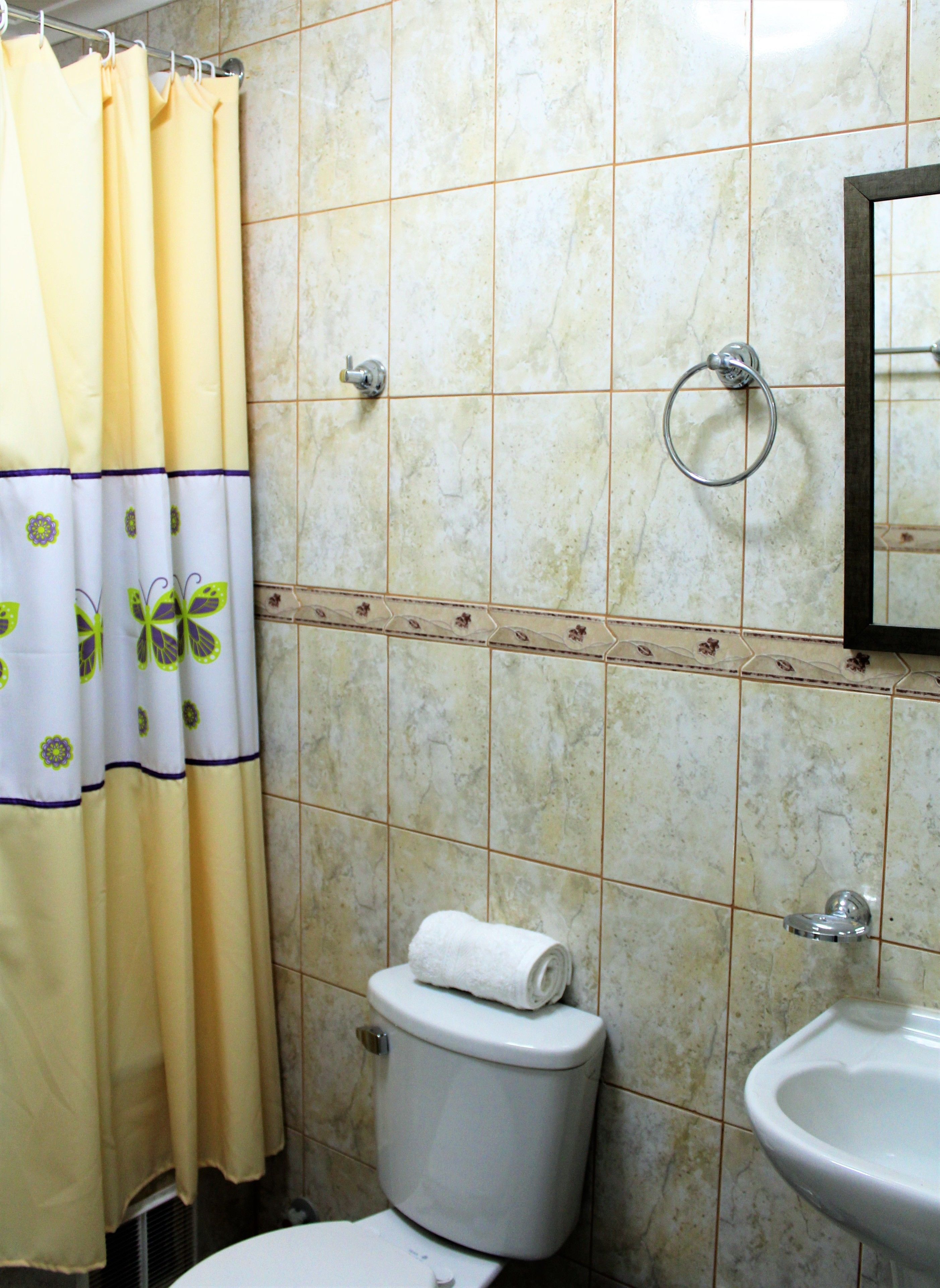 A bathroom with a toilet, sink, and shower curtain.