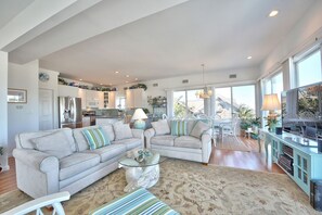 Televisión, chimenea, reproductor de DVD y libros 