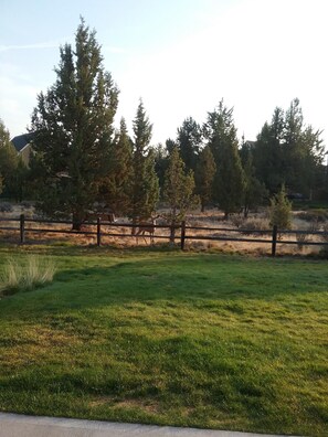 Property grounds - 3 Bedroom, Single Story, (Redmond)