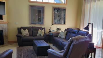 TV connectée, cheminée, lecteur de DVD, livres