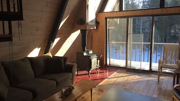 TV, fireplace, DVD player, books