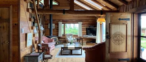 TV connectée, cheminée, livres, chaîne hi-fi