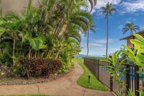 Property grounds - *Makani A Kai B9* Maui Condo Steps To The Sand! (Maalaea)