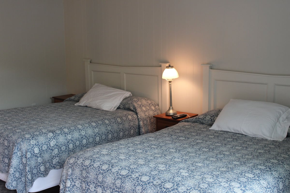 Two single beds with patterned bedding, a bedside table with a lamp, and a white headboard.