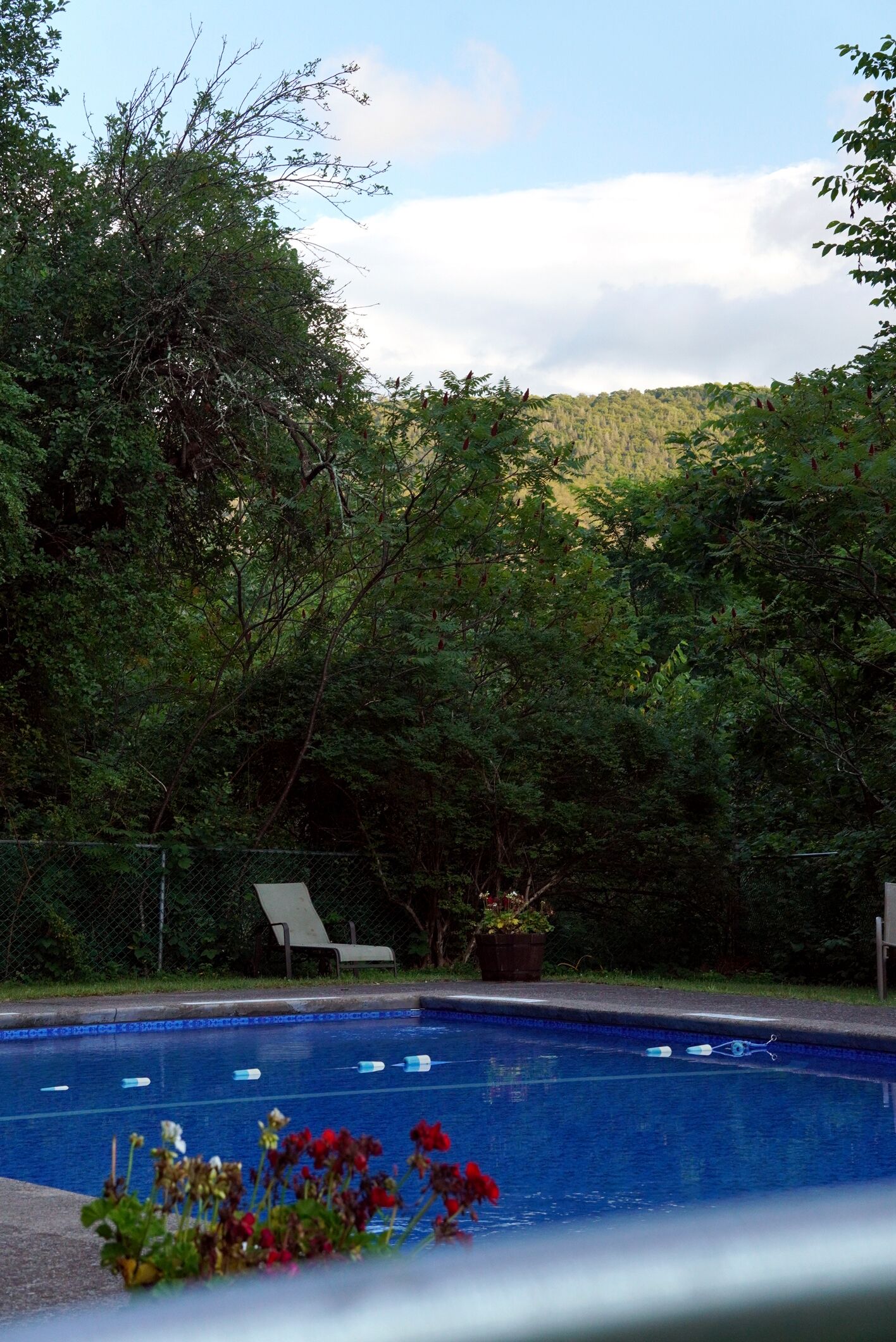 A swimming pool with a chair and flowers in the foreground, surrounded by dense greenery and trees.