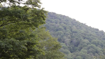 Vue sur les montagnes