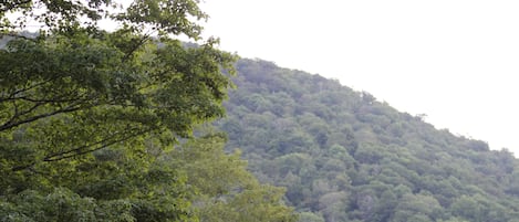 Vistas a la montaña