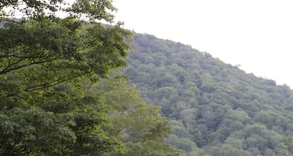 Catskill Seasons Inn