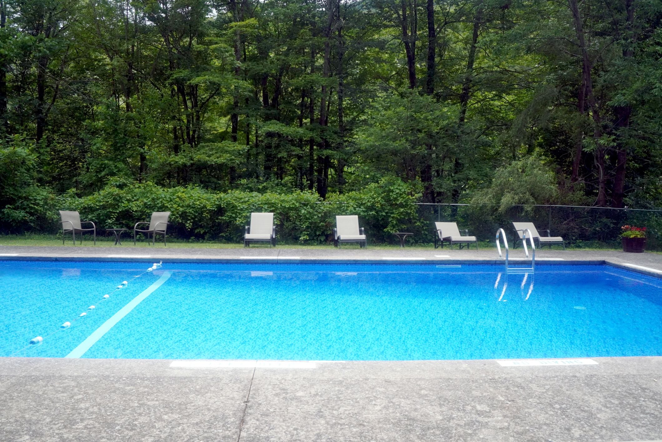 A swimming pool with clear blue water, surrounded by trees and equipped with lounge chairs.